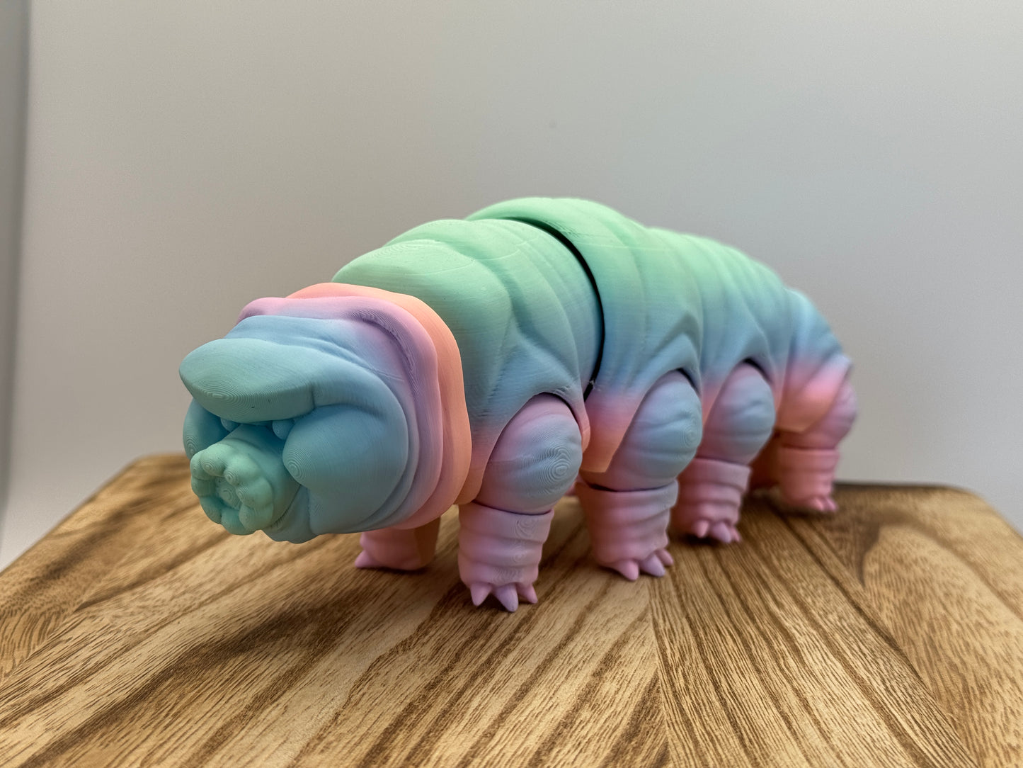 Tardigrade - MattMireMakes