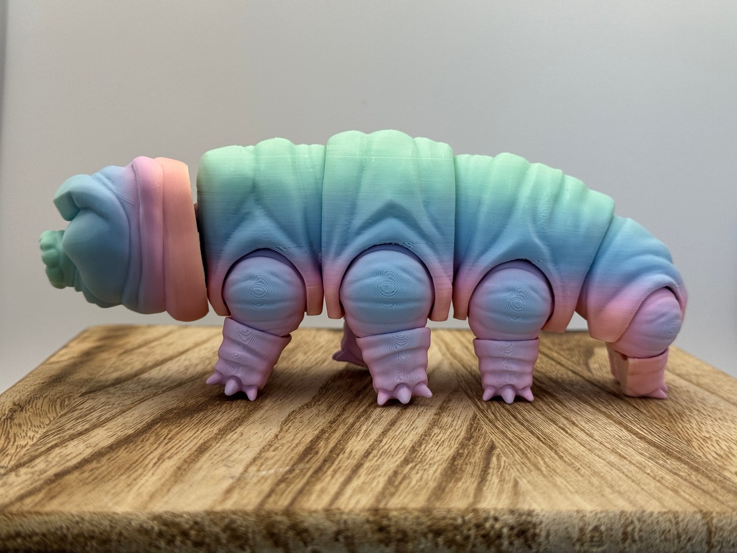 Tardigrade - MattMireMakes