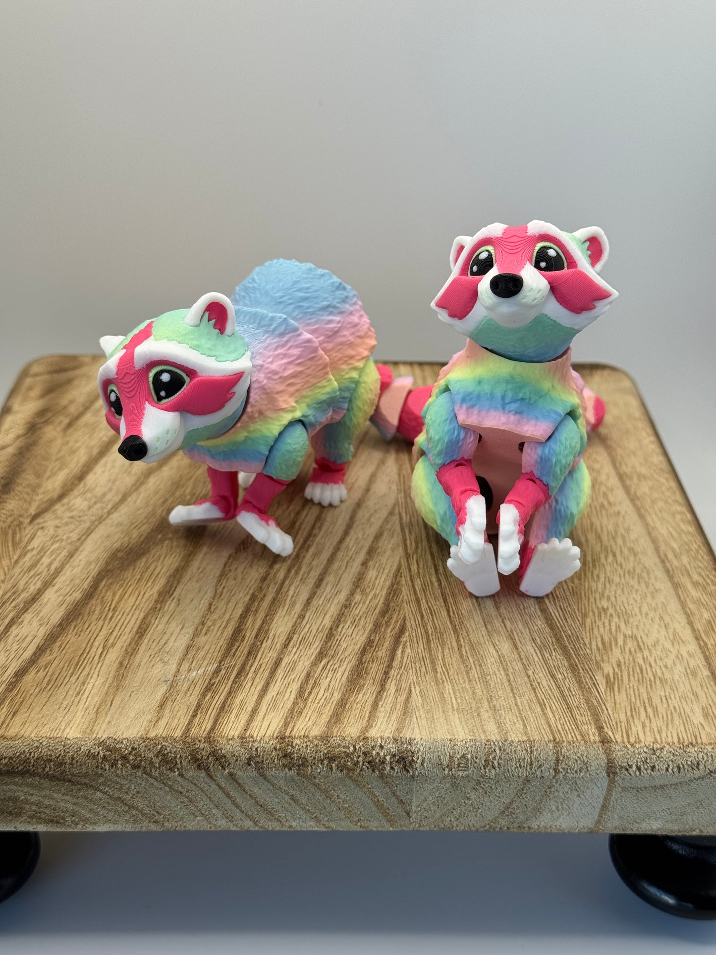 Raccoon - MattMireMakes