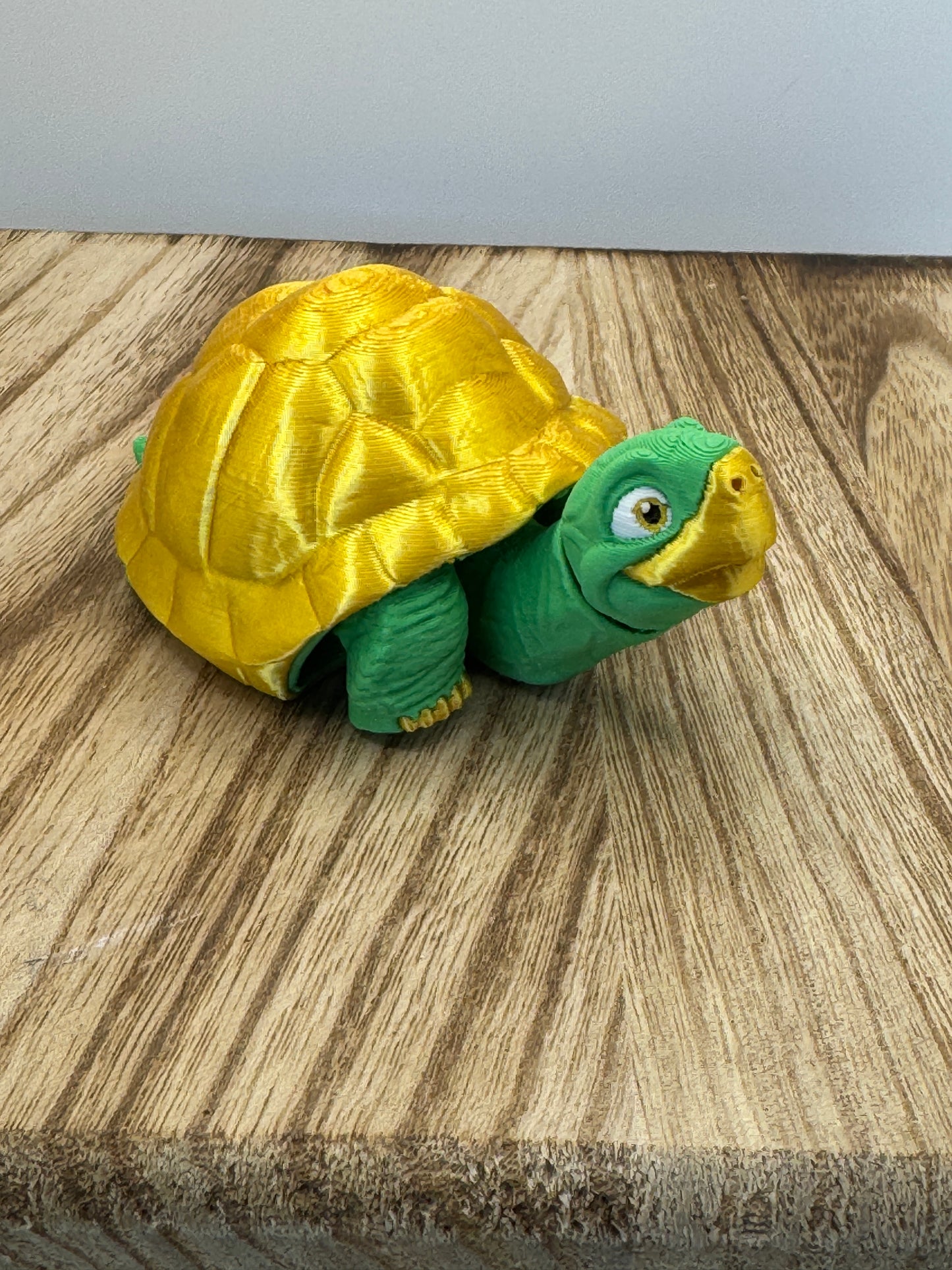 Turtle - MattMireMakes