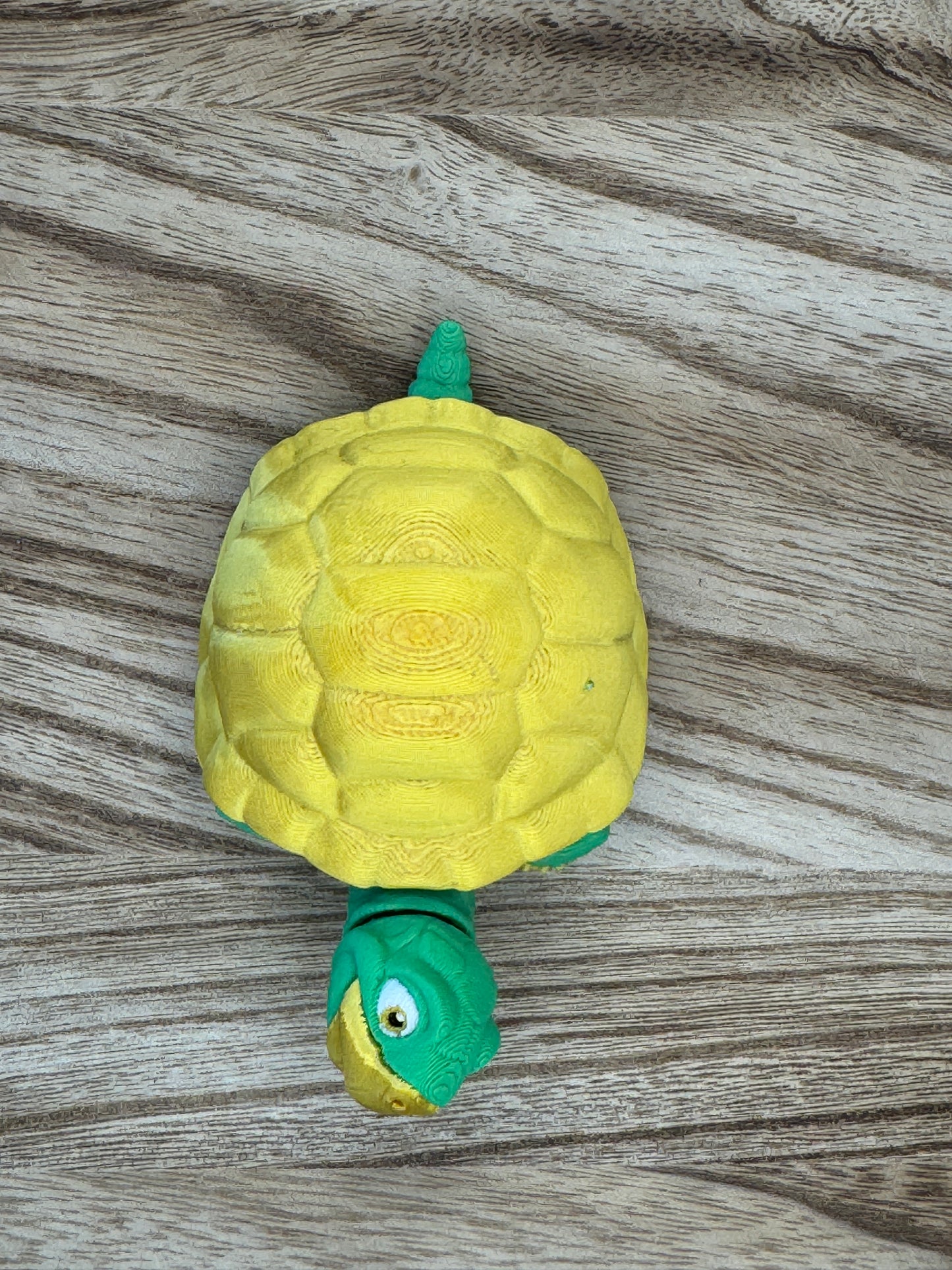 Turtle - MattMireMakes