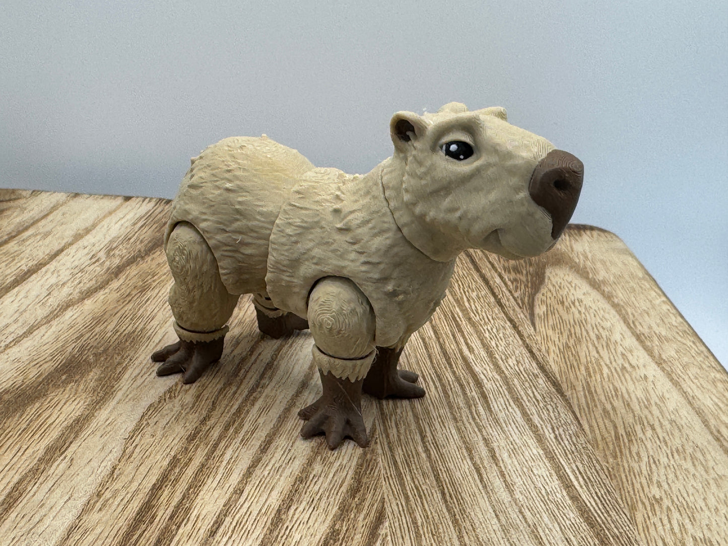 Capybara - MattMireMakes