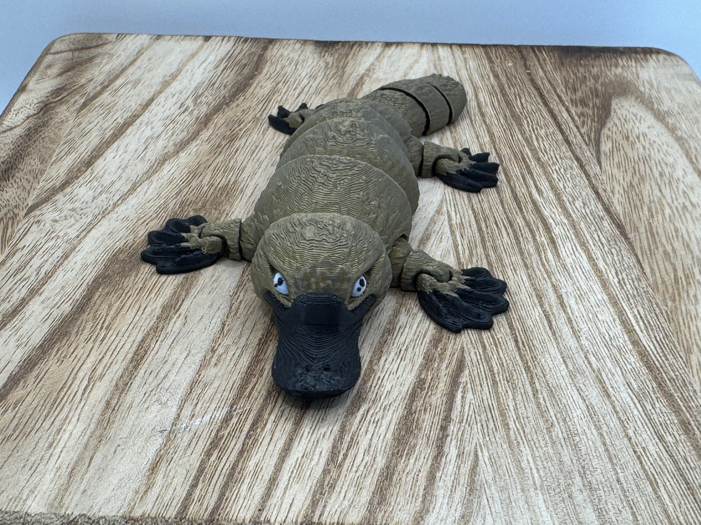 Platypus - MattMireMakes