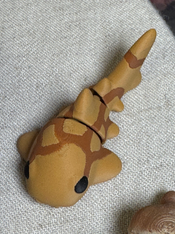 Mini Flexi Catshark