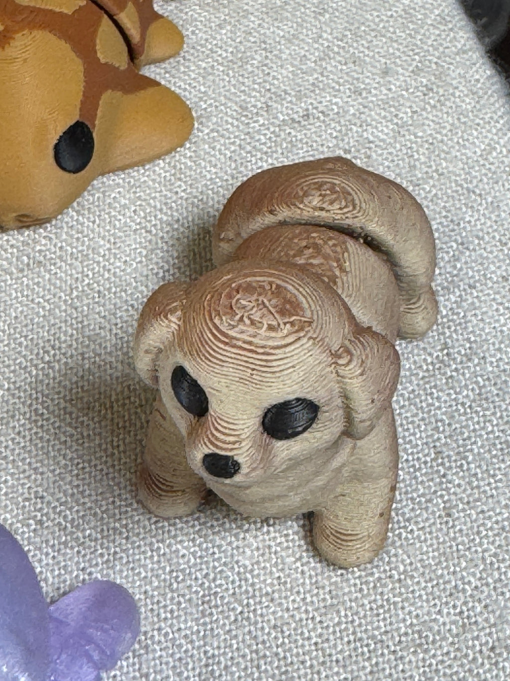 Mini Flexi Poodle Puppy