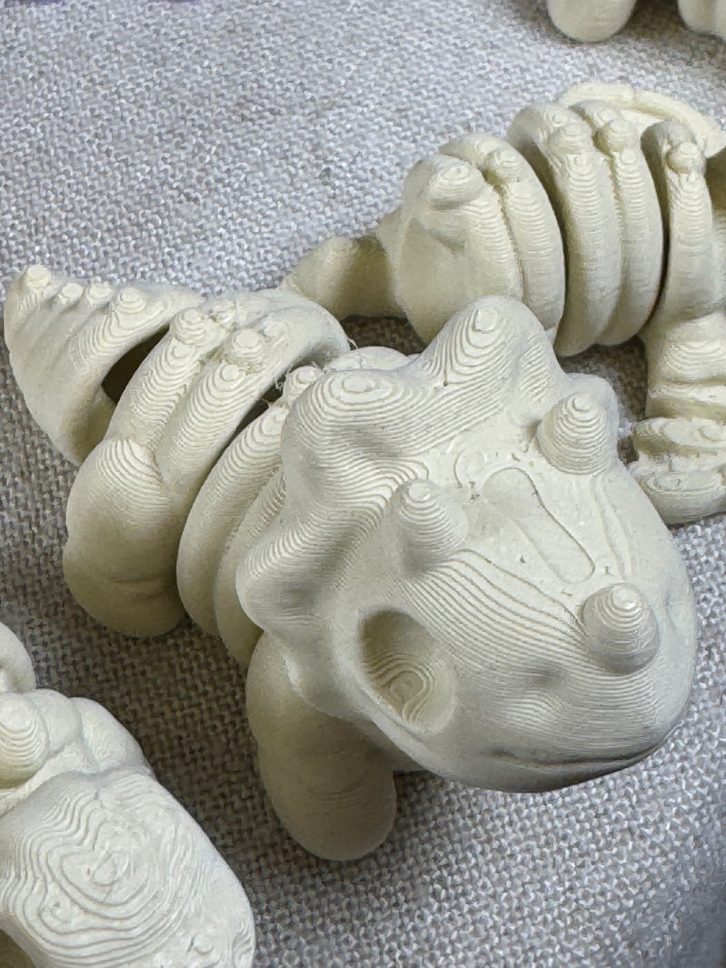 Mini Flexi Triceratops Skeleton